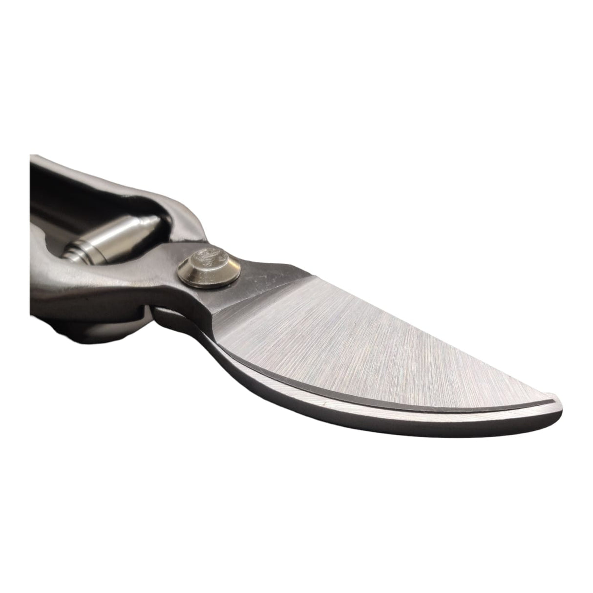 مقص تقليم جانبي VAPS 019، يقص حتى سيقان بطول 20 مم، لمزارع الفاكهة والخضروات، مقص تقليم الحدائق