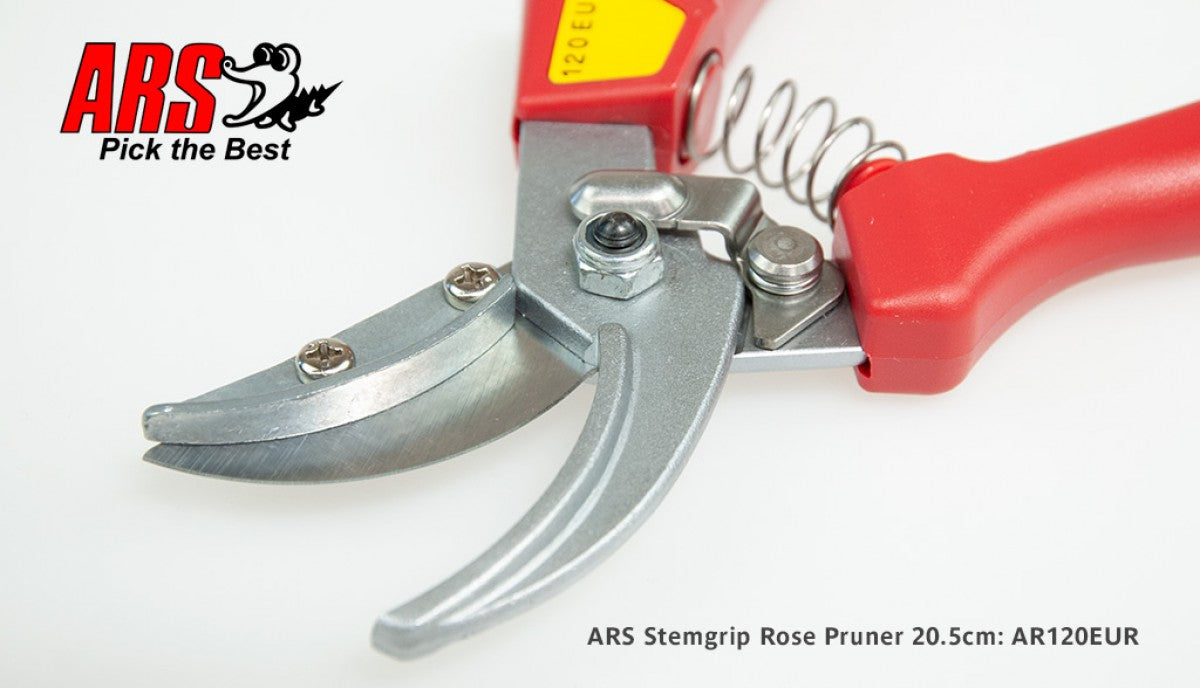 مقص تقليم الورود ARS 120 EU-R، شفرة من الفولاذ المقاوم للصدأ عالي الكربون، للمزارع والحدائق، يقطع السيقان حتى 15 مم