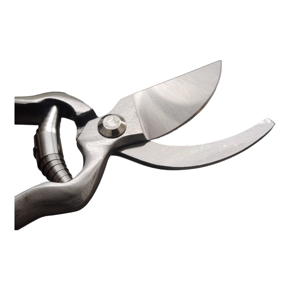 مقص تقليم جانبي VAPS 019، يقص حتى سيقان بطول 20 مم، لمزارع الفاكهة والخضروات، مقص تقليم الحدائق