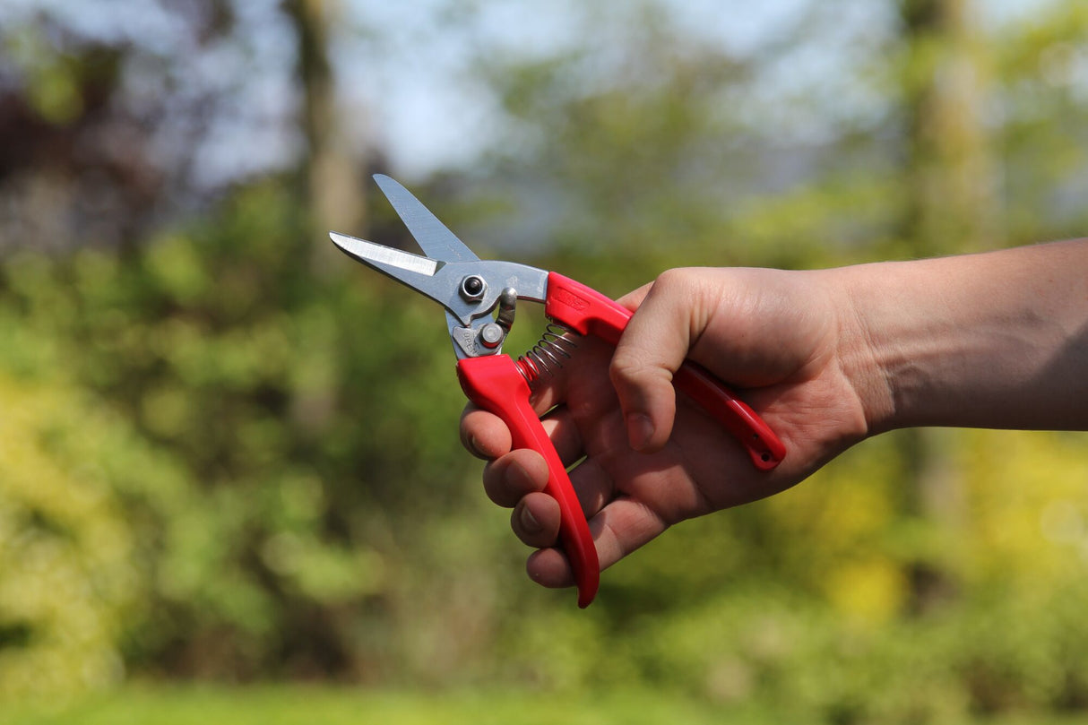 ARS 140DX، قاطع حوافر الماعز والضأن والحيوانات، شفرة من الفولاذ المقاوم للصدأ عالي الكربون، يمكنه تقليم حوافر الحيوانات الصغيرة والمتوسطة الحجم بسهولة