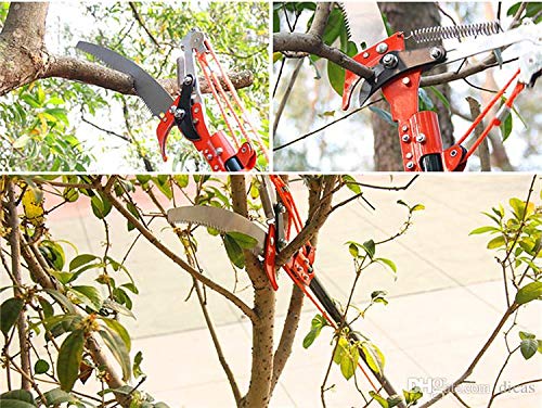 VALTS-001 Long Reach Tree Saw With Pruner, For Tree Branch Pruning & Drum Stick Pruning
