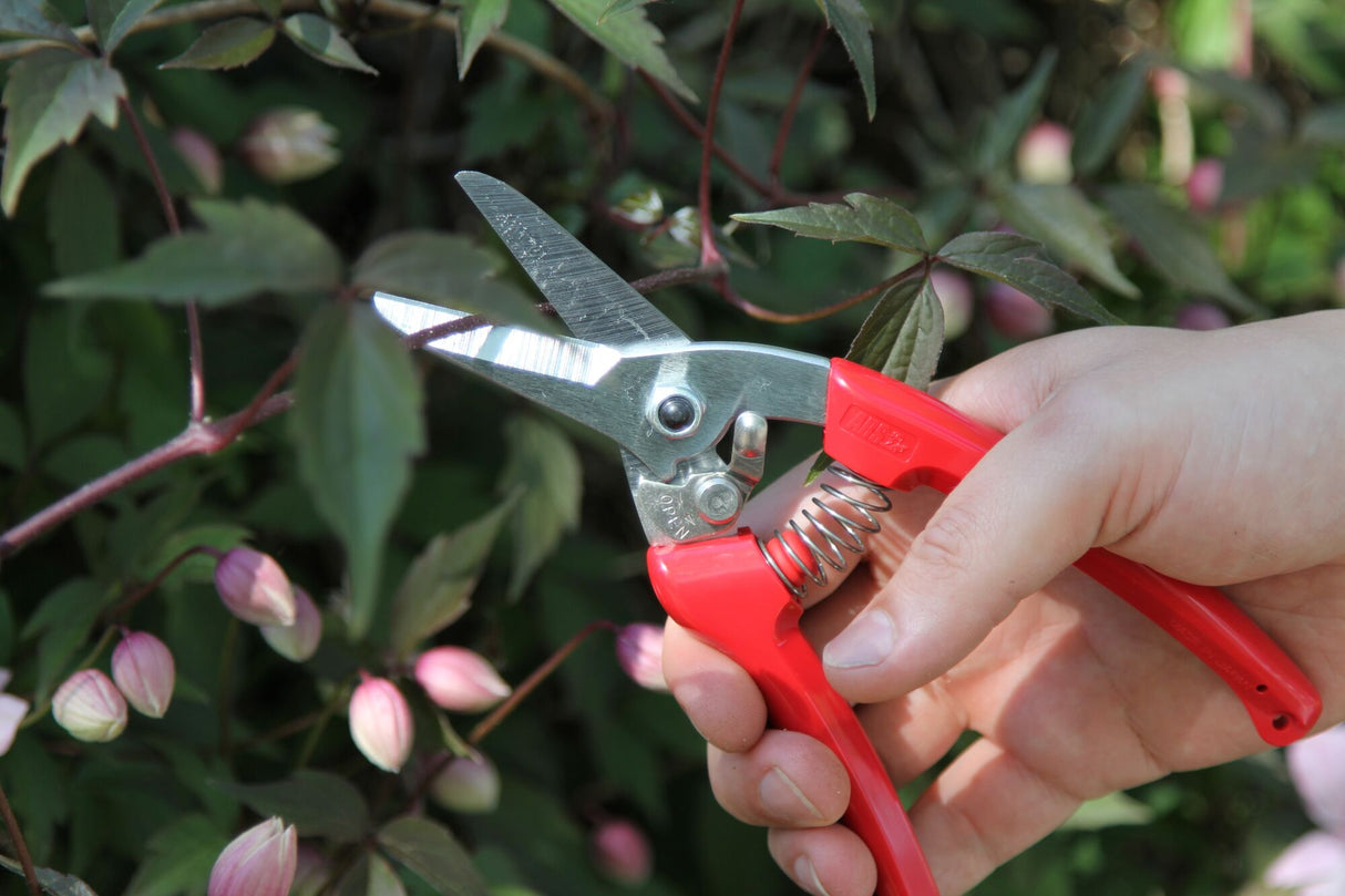 ARS 140DX، قاطع حوافر الماعز والضأن والحيوانات، شفرة من الفولاذ المقاوم للصدأ عالي الكربون، يمكنه تقليم حوافر الحيوانات الصغيرة والمتوسطة الحجم بسهولة