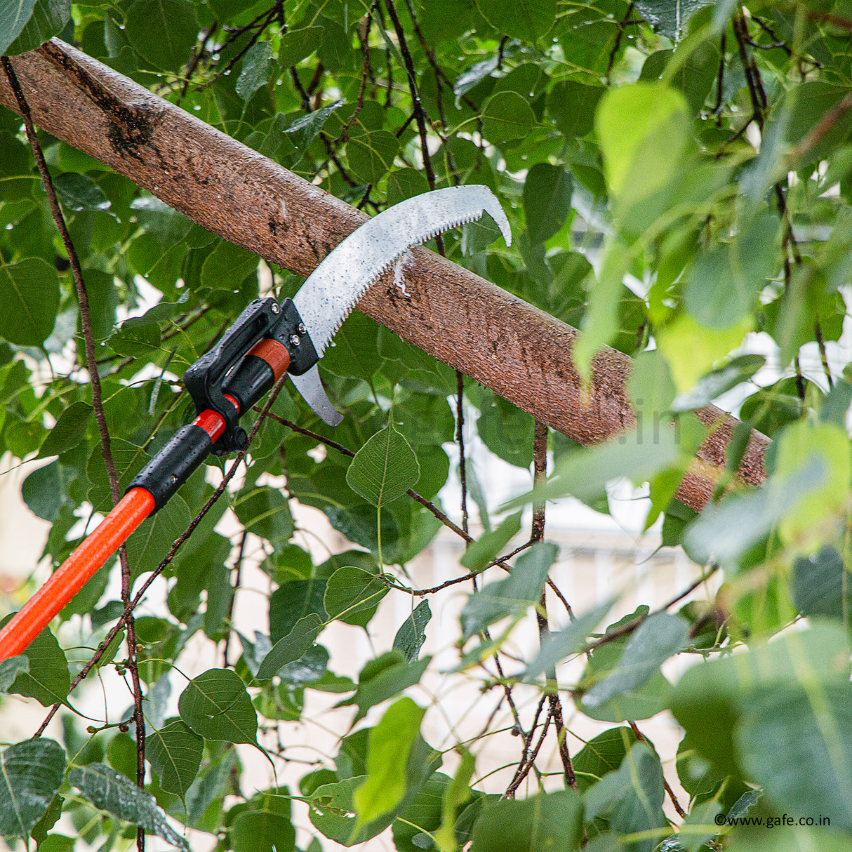 Vinka Tree Saw With 14 Feet Telescopic Fibre Glass Handle, Can Prune Upto 3 Inch Tree Branch