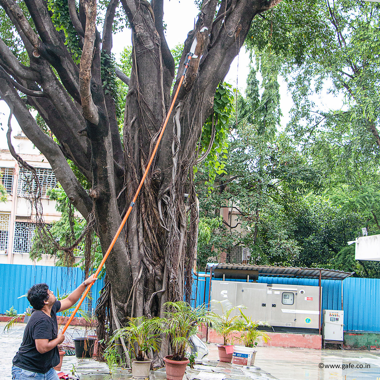 Vinka Tree Saw With 14 Feet Telescopic Fibre Glass Handle, Can Prune Upto 3 Inch Tree Branch