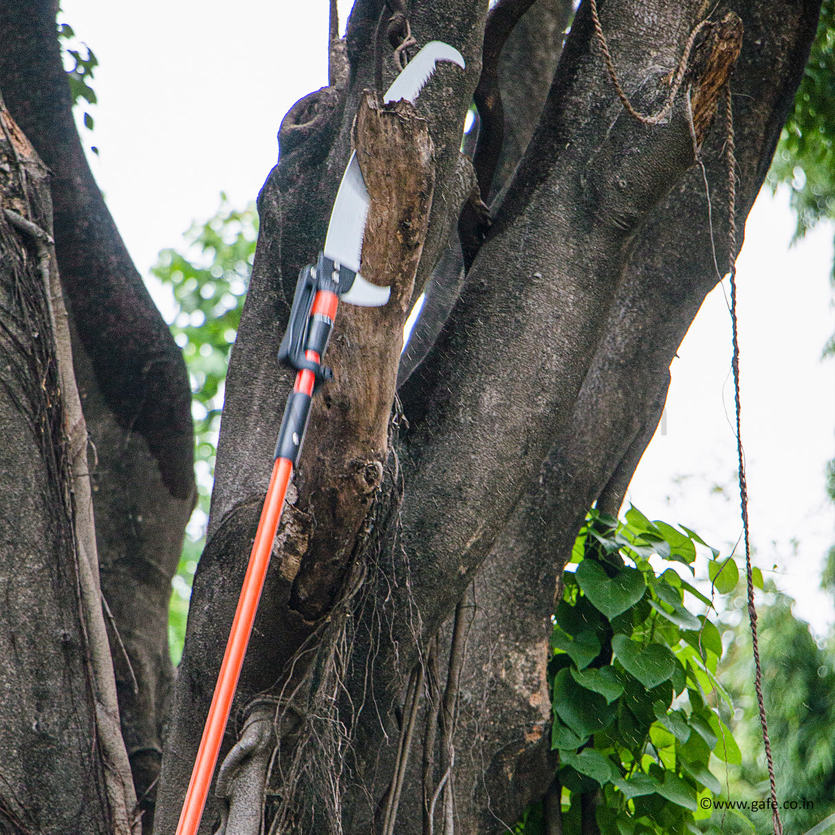 Vinka Tree Saw With 14 Feet Telescopic Fibre Glass Handle, Can Prune Upto 3 Inch Tree Branch