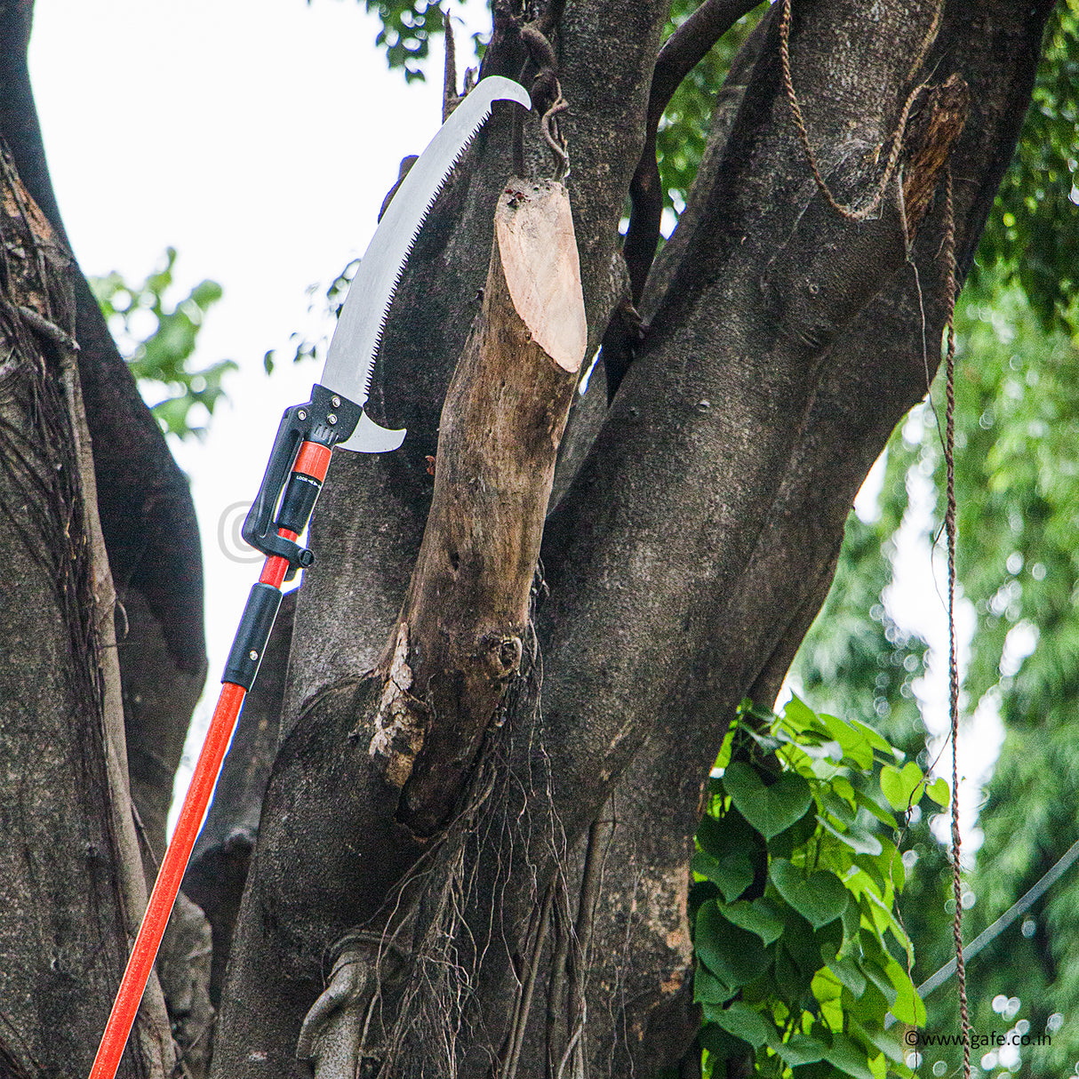 Vinka Tree Saw With 14 Feet Telescopic Fibre Glass Handle, Can Prune Upto 3 Inch Tree Branch