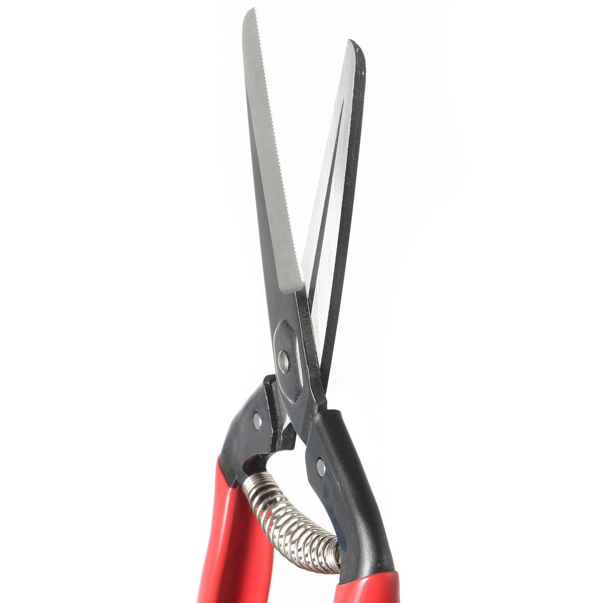 VAPS 030، مقص فواكه وزهور من الفولاذ بشفرة طويلة، يقطع سيقان النباتات حتى 10 مم، أفضل مقص للحديقة