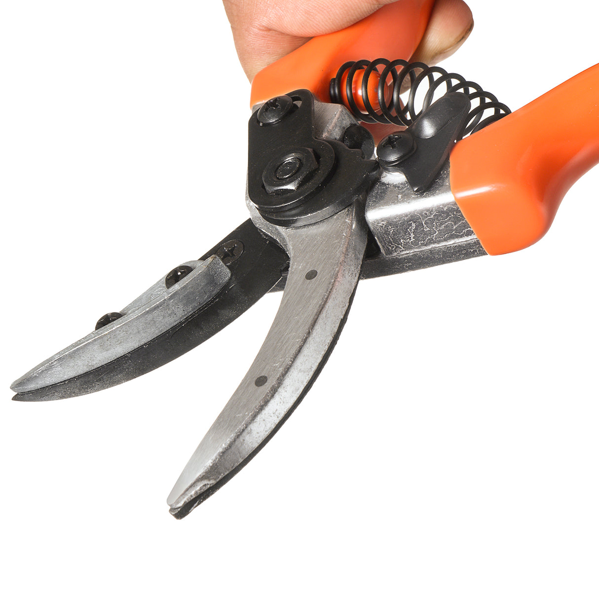 مقص تقليم VAPS 015 للقطع والتثبيت، لتقليم الورود والحدائق والمشاتل، يقطع حتى سيقان بطول 15 مم