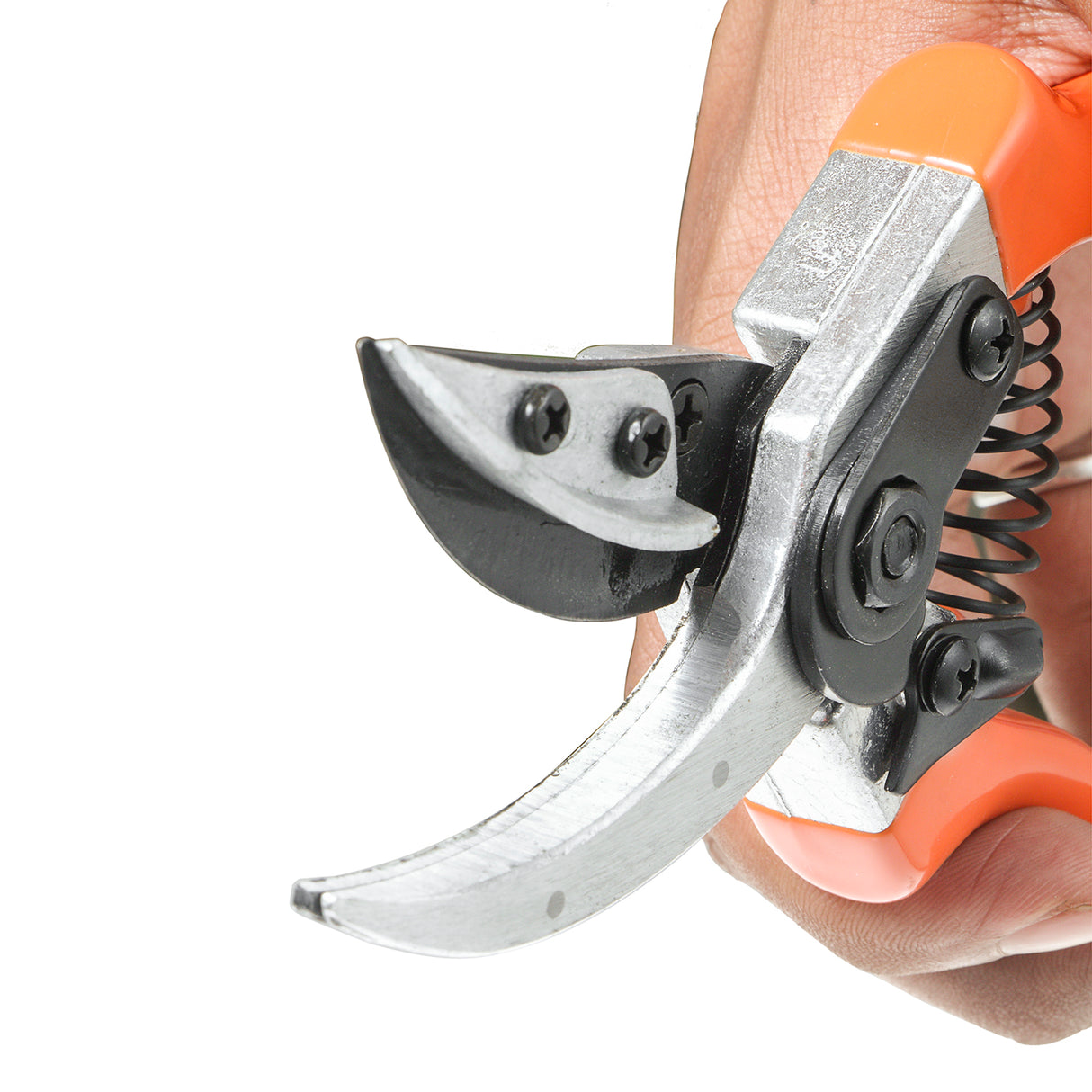 مقص تقليم VAPS 015 للقطع والتثبيت، لتقليم الورود والحدائق والمشاتل، يقطع حتى سيقان بطول 15 مم