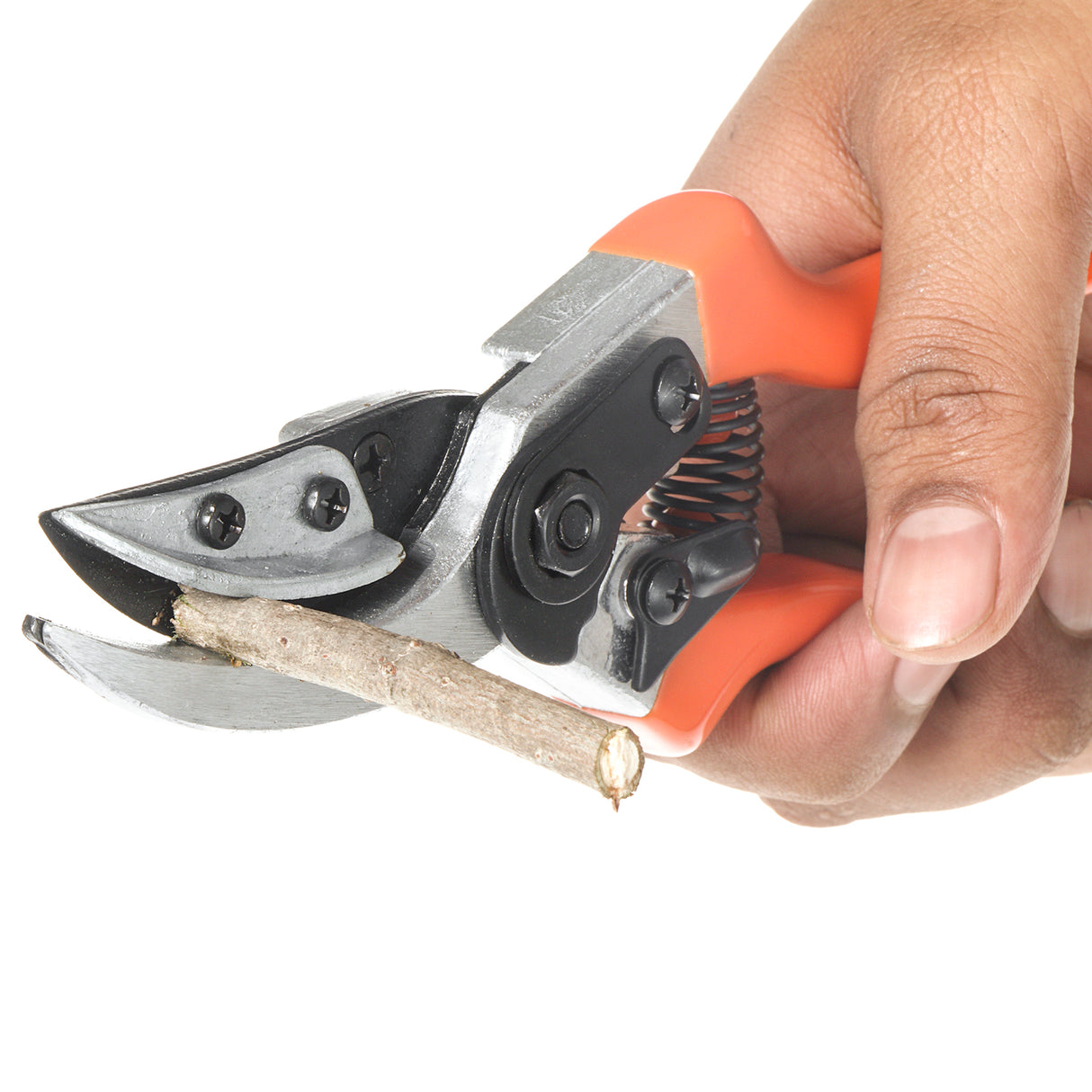 مقص تقليم VAPS 015 للقطع والتثبيت، لتقليم الورود والحدائق والمشاتل، يقطع حتى سيقان بطول 15 مم