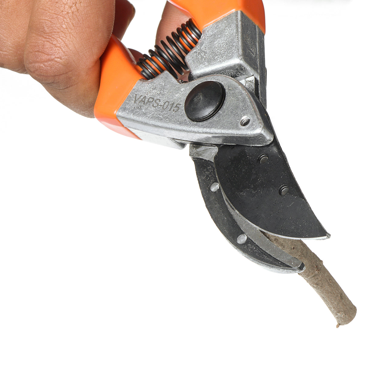 مقص تقليم VAPS 015 للقطع والتثبيت، لتقليم الورود والحدائق والمشاتل، يقطع حتى سيقان بطول 15 مم