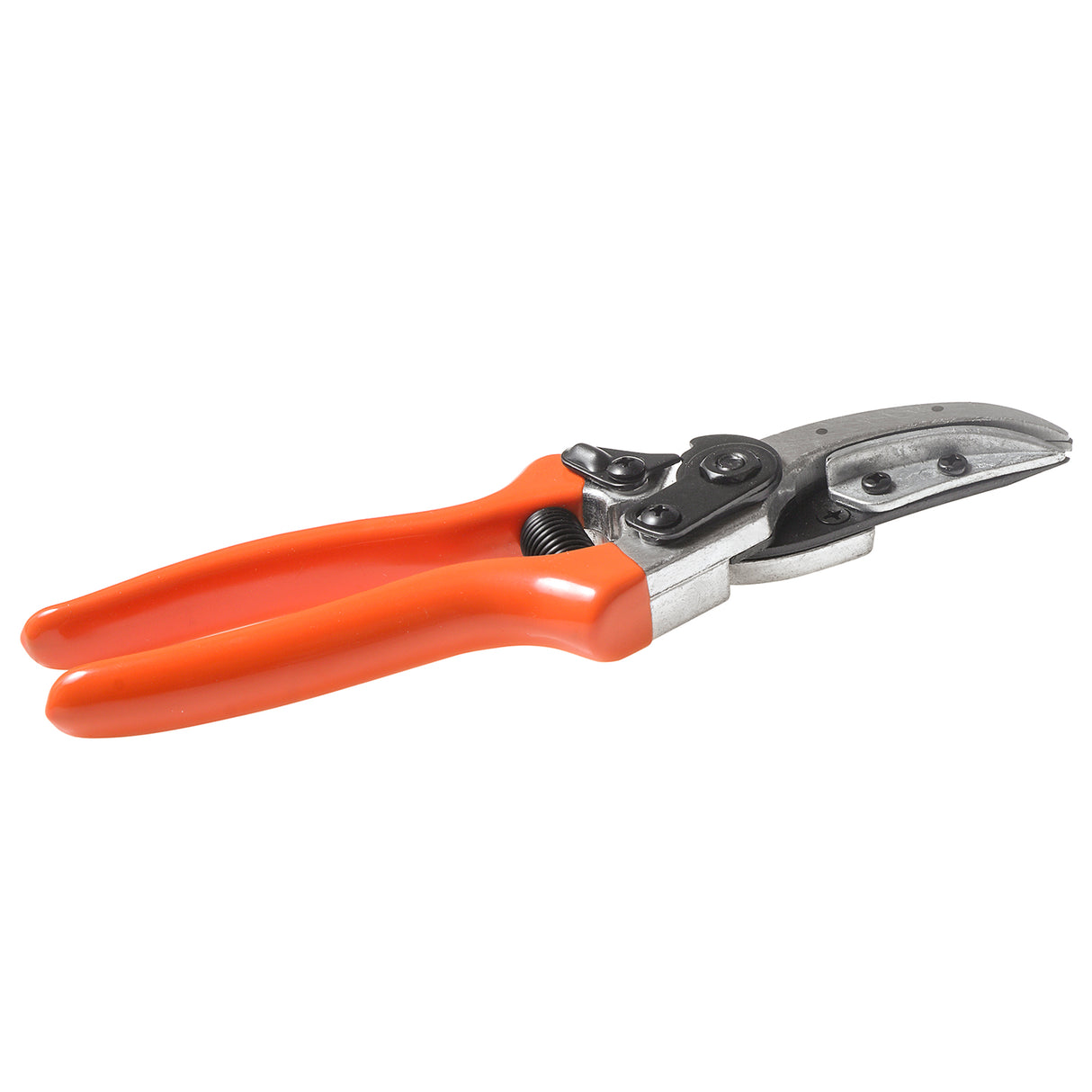 مقص تقليم VAPS 015 للقطع والتثبيت، لتقليم الورود والحدائق والمشاتل، يقطع حتى سيقان بطول 15 مم