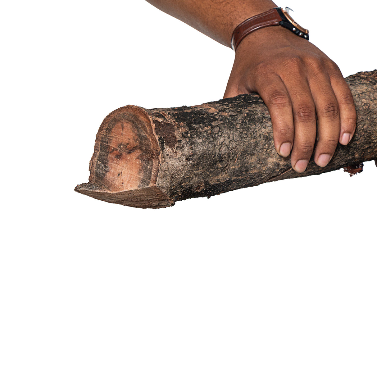 منشار الأشجار HC-350BG مع غطاء، لتقليم أغصان الأشجار حتى 3 بوصات