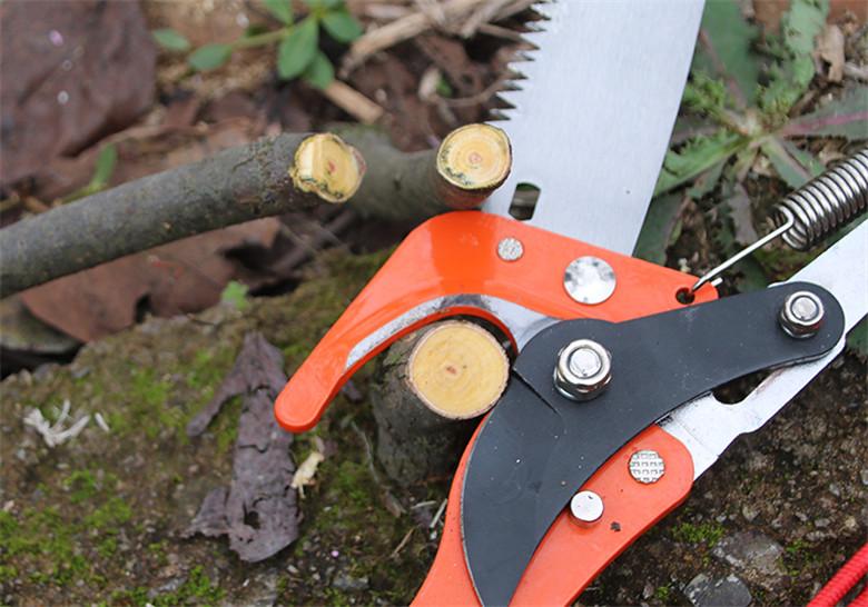 VALTS-001 Long Reach Tree Saw With Pruner, For Tree Branch Pruning & Drum Stick Pruning