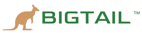 BIGCATCH