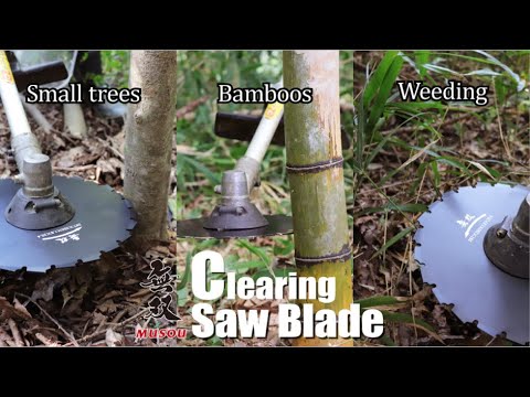 Sanyo Metal Clearing Saw Blade For All Brush Cutters, 9 Inches (225 mm), 24Teeth, For Cutting Bamboo, Trees & Branches, Shrubs, Cuts Upto 3 Inch (Made in Japan) (24T X 9 Inch)