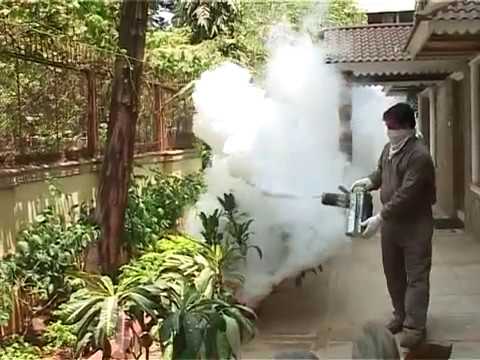 Aspee Duo Fogger، آلة ضباب صغيرة من الفولاذ المقاوم للصدأ، سعة 2 لتر